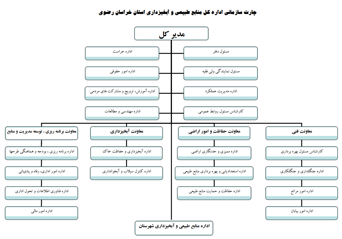 ساختار تشکیلاتی